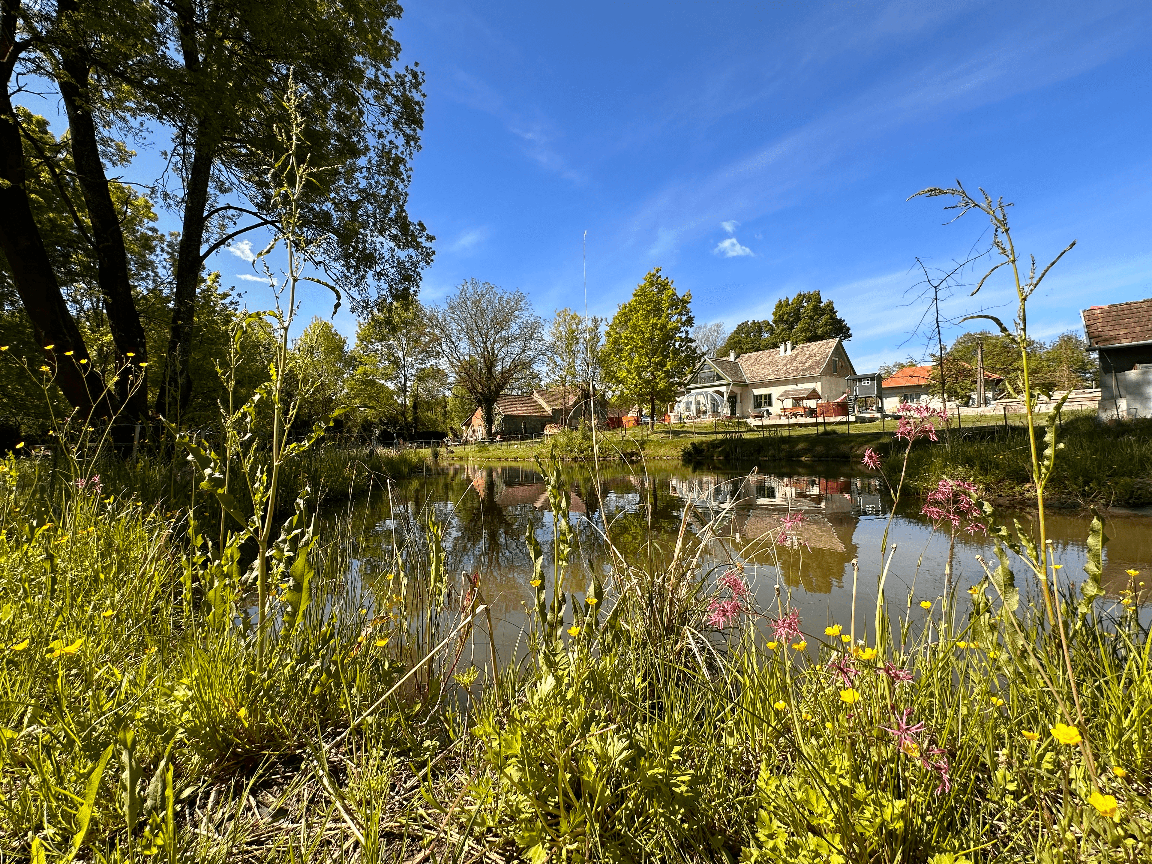 Musicians practicing